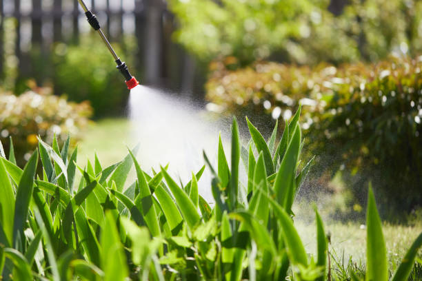 24/7 Emergency Mosquito Control experts in Old Tappan, NJ